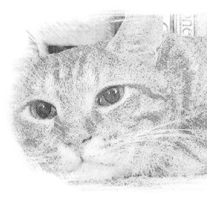 Meet your Posher, Fufu wei